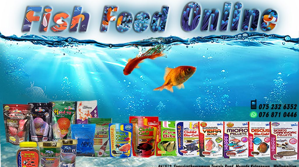 Fish feed online